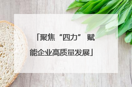 聚焦“四力” 赋能企业高质量发展