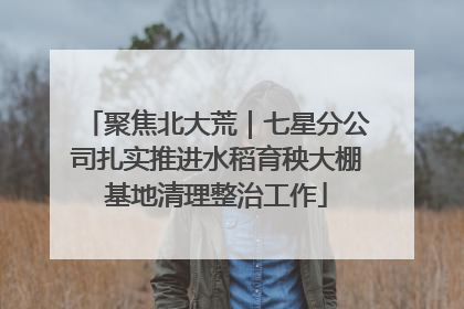 聚焦北大荒｜七星分公司扎实推进水稻育秧大棚基地清理整治工作