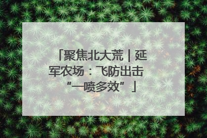聚焦北大荒｜延军农场：飞防出击 “一喷多效”