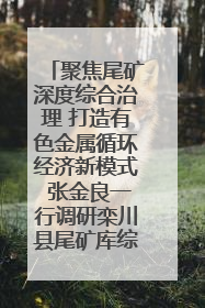 聚焦尾矿深度综合治理 打造有色金属循环经济新模式 张金良一行调研栾川县尾矿库综合治理工作