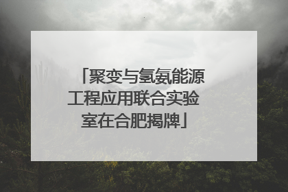 聚变与氢氨能源工程应用联合实验室在合肥揭牌