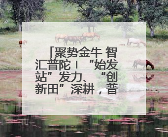 聚势金牛 智汇普陀〡“始发站”发力、“创新田”深耕，普陀科创“金牛”闪耀
