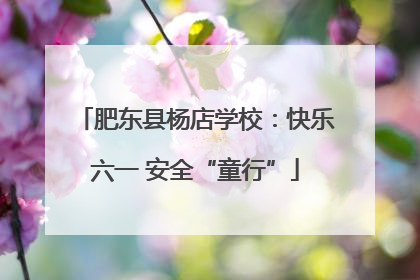 肥东县杨店学校：快乐六一 安全“童行”