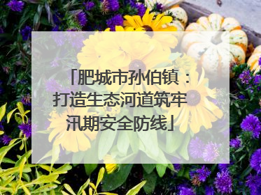 肥城市孙伯镇：打造生态河道筑牢汛期安全防线