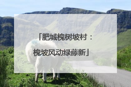 肥城槐树坡村：槐坡风动绿藤新