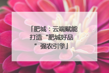 肥城：云端赋能 打造“肥城好品”强农引擎