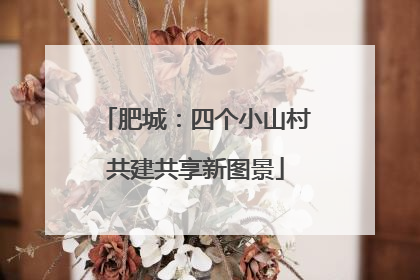 肥城：四个小山村共建共享新图景