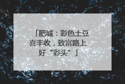 肥城：彩色土豆喜丰收，致富路上好“彩头”