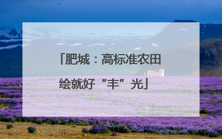 肥城：高标准农田绘就好“丰”光
