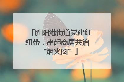 胜阳港街道党建红纽带，串起商居共治 “烟火圈”
