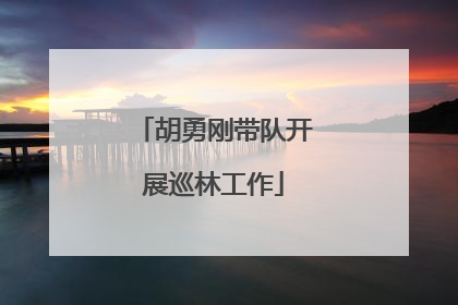 胡勇刚带队开展巡林工作
