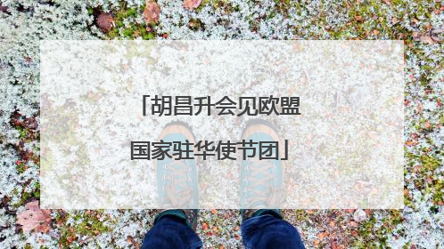 胡昌升会见欧盟国家驻华使节团
