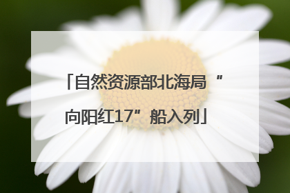 自然资源部北海局“向阳红17”船入列
