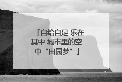 自给自足 乐在其中 城市里的空中“田园梦”