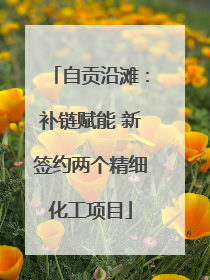 自贡沿滩：补链赋能 新签约两个精细化工项目