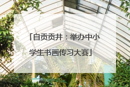 自贡贡井：举办中小学生书画传习大赛