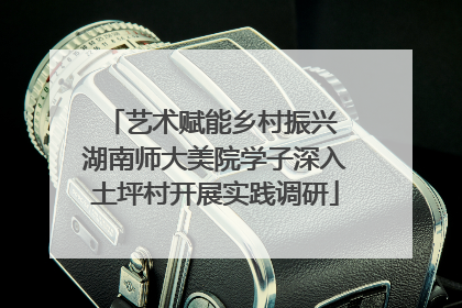 艺术赋能乡村振兴 湖南师大美院学子深入土坪村开展实践调研