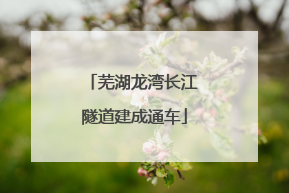 芜湖龙湾长江隧道建成通车