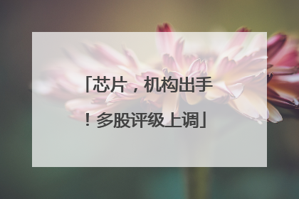 芯片，机构出手！多股评级上调