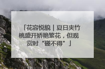 花容悦貌｜夏日夹竹桃盛开娇艳繁花，但观赏时“碰不得”
