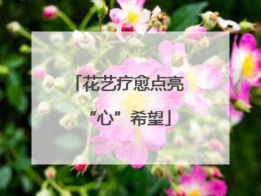 花艺疗愈点亮“心”希望