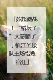 苏超激战！“醋坛子”大意翻了，镇江圣象队主场惜败宿迁