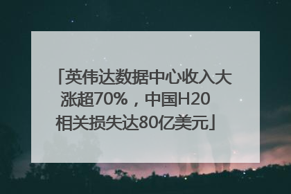 英伟达数据中心收入大涨超70%，中国H20相关损失达80亿美元