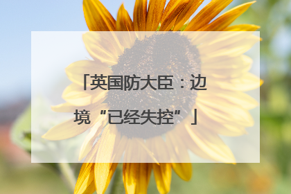 英国防大臣：边境“已经失控”