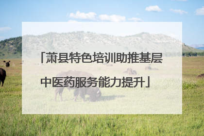 萧县特色培训助推基层中医药服务能力提升