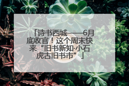 诗书西城——6月底收官！这个周末快来“旧书新知·小石虎古旧书市”