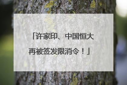 许家印、中国恒大再被签发限消令！