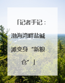 记者手记：渤海湾畔盐碱滩变身“新粮仓”