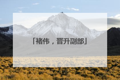 褚伟，晋升副部