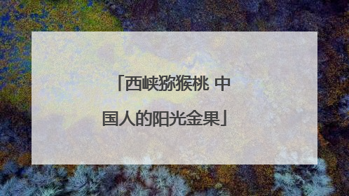 西峡猕猴桃 中国人的阳光金果