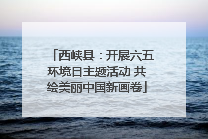 西峡县：开展六五环境日主题活动 共绘美丽中国新画卷