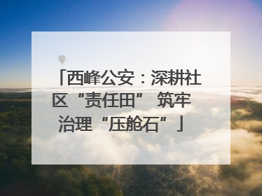西峰公安：深耕社区“责任田” 筑牢治理“压舱石”