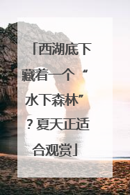 西湖底下藏着一个“水下森林”？夏天正适合观赏