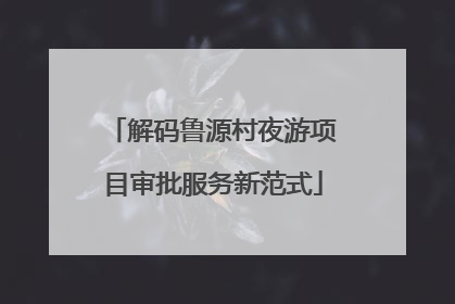 解码鲁源村夜游项目审批服务新范式