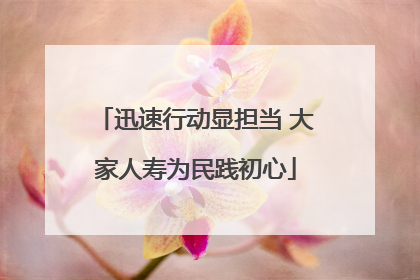 迅速行动显担当 大家人寿为民践初心