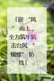 迎 “风” 而上，全力筑牢抗击台风 “蝴蝶” 防线