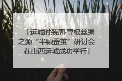 运城时装周·寻根丝绸之源“半颗蚕茧”研讨会在山西运城成功举行