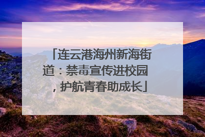 连云港海州新海街道：禁毒宣传进校园，护航青春助成长