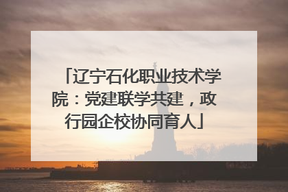 辽宁石化职业技术学院：党建联学共建，政行园企校协同育人
