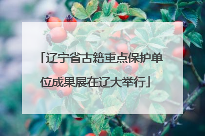辽宁省古籍重点保护单位成果展在辽大举行