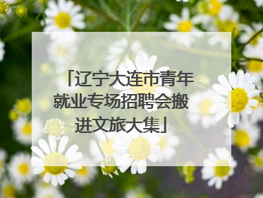 辽宁大连市青年就业专场招聘会搬进文旅大集