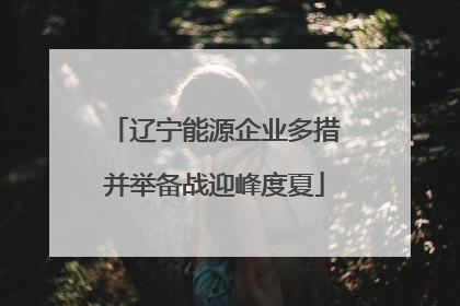 辽宁能源企业多措并举备战迎峰度夏