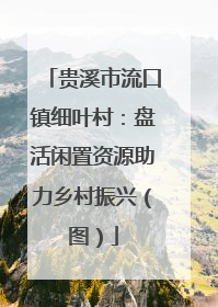 贵溪市流口镇细叶村：盘活闲置资源助力乡村振兴（图）