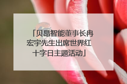贝昂智能董事长冉宏宇先生出席世界红十字日主题活动