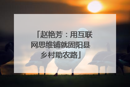 赵艳芳：用互联网思维铺就固阳县乡村助农路