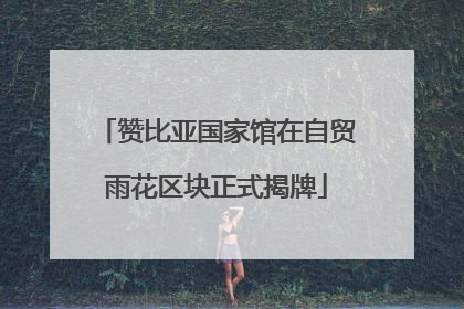 赞比亚国家馆在自贸雨花区块正式揭牌